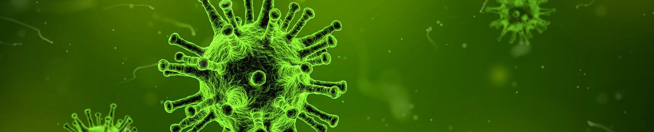 Virus